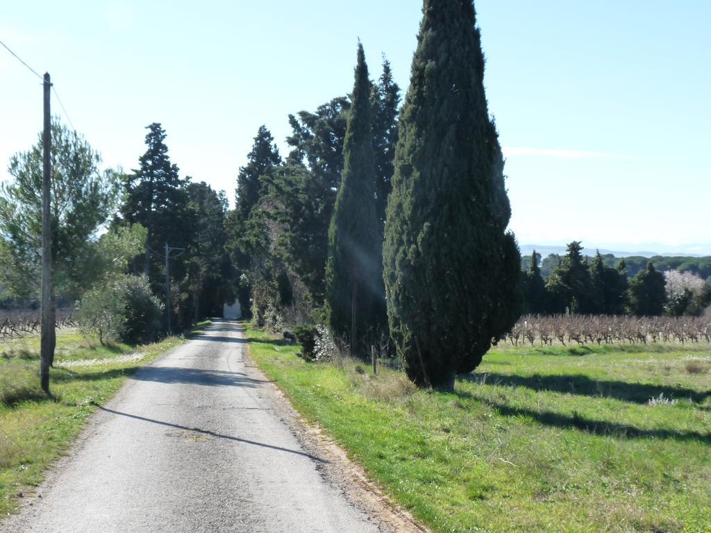 Chateau La Bouriette Moussoulens Eksteriør bilde
